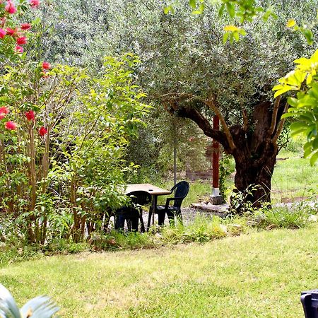 Villa Pelau - Holiday Home Jerzu 外观 照片