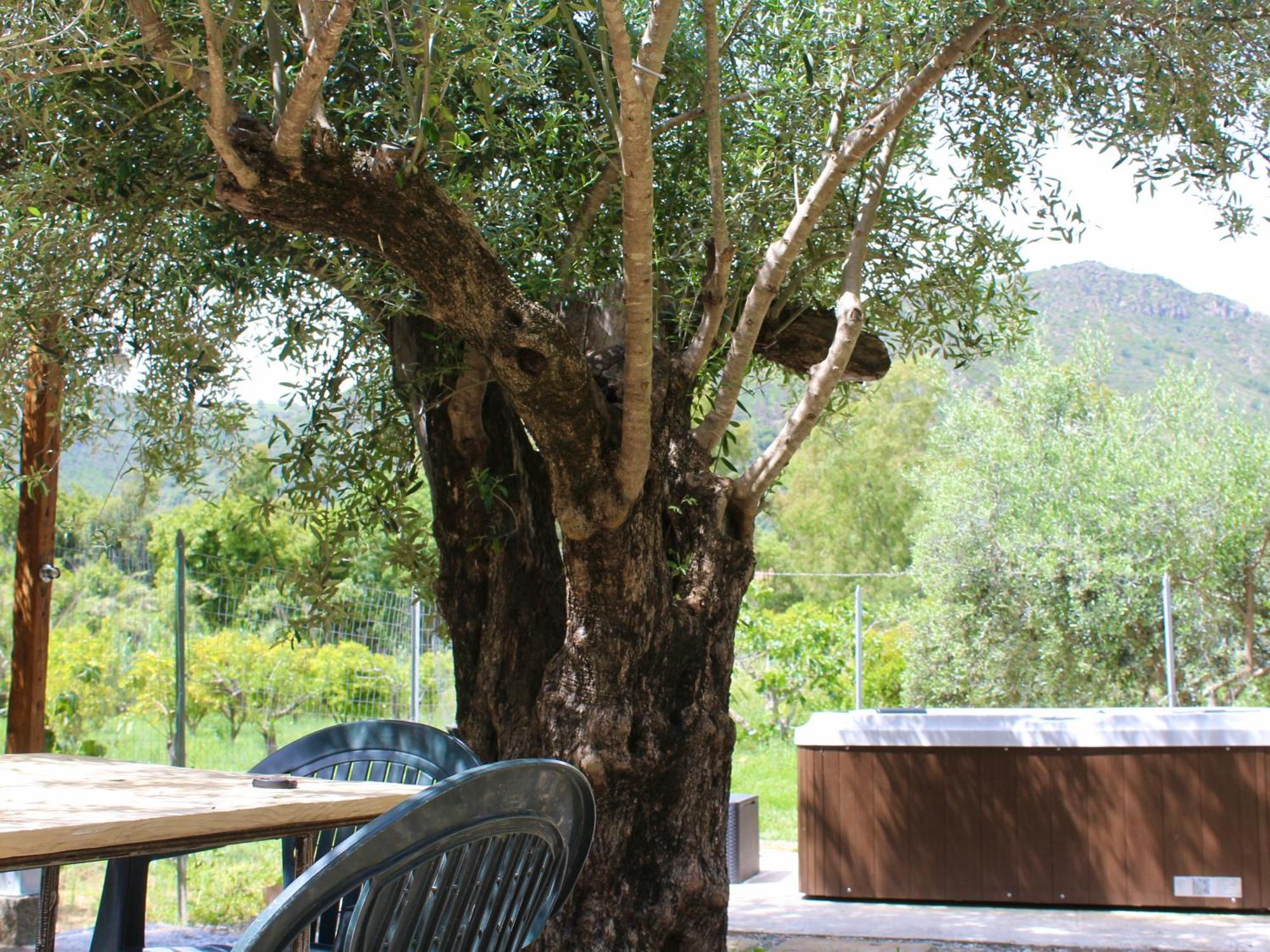 Villa Pelau - Holiday Home Jerzu 外观 照片