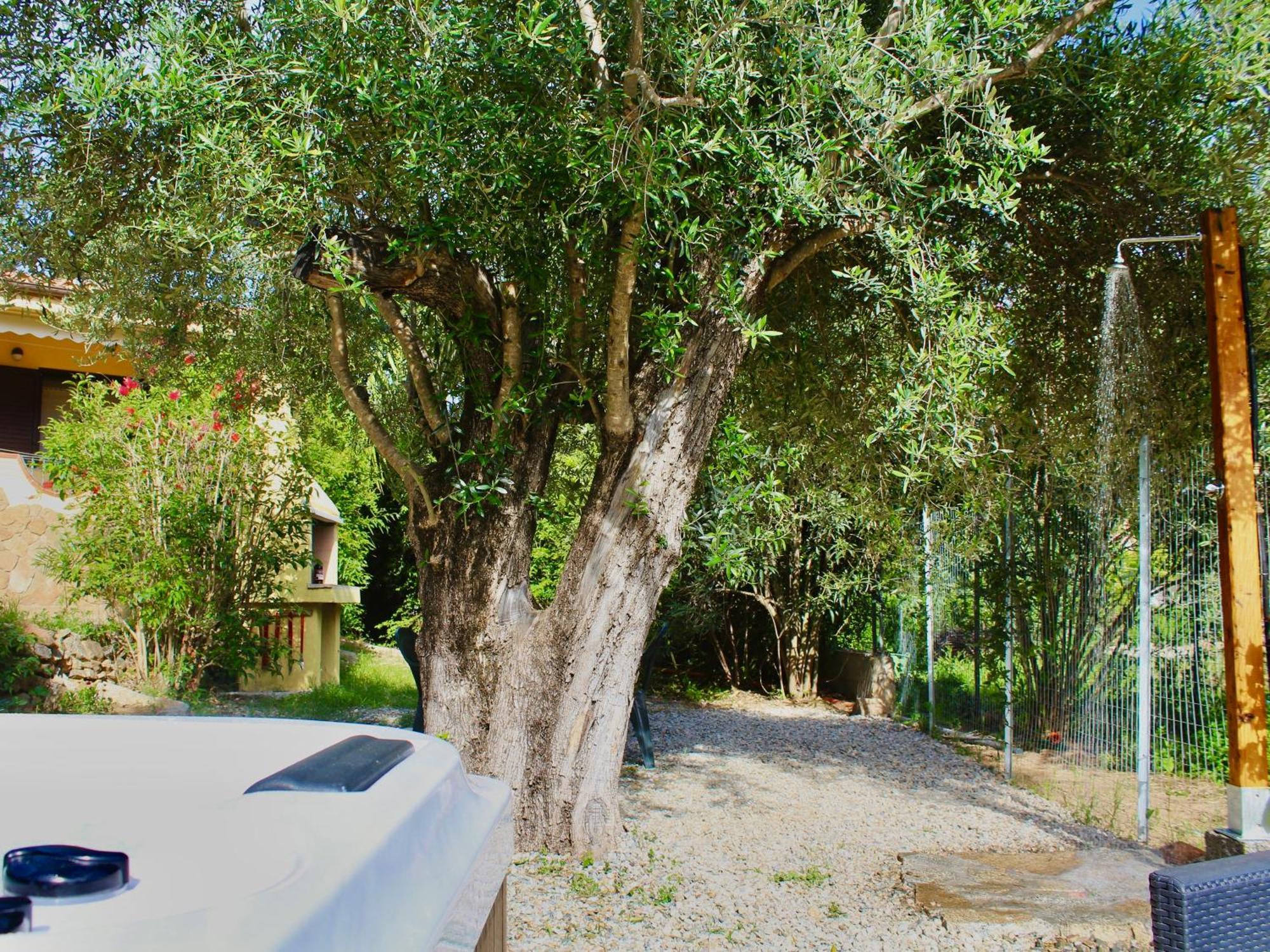 Villa Pelau - Holiday Home Jerzu 外观 照片