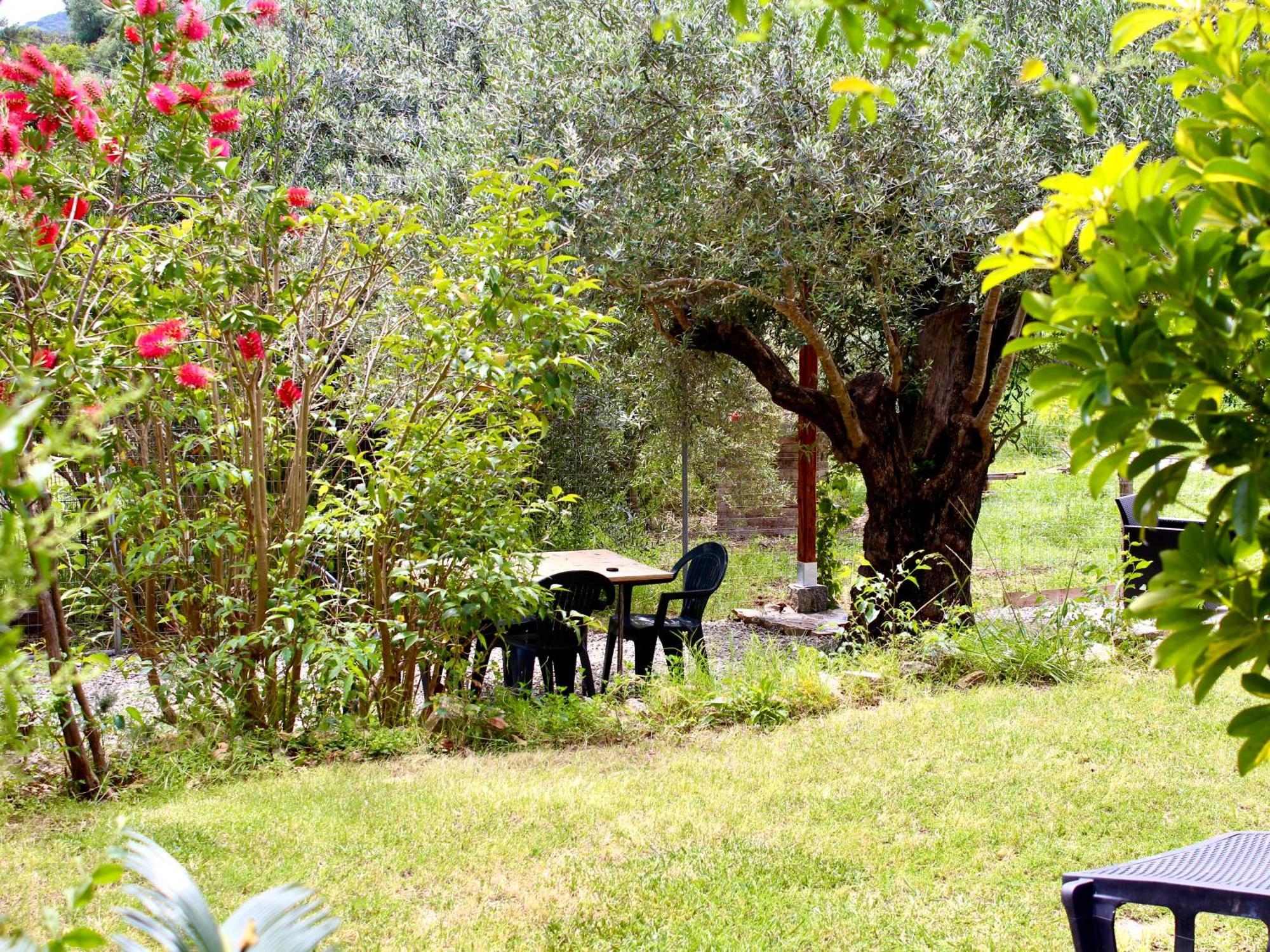 Villa Pelau - Holiday Home Jerzu 外观 照片