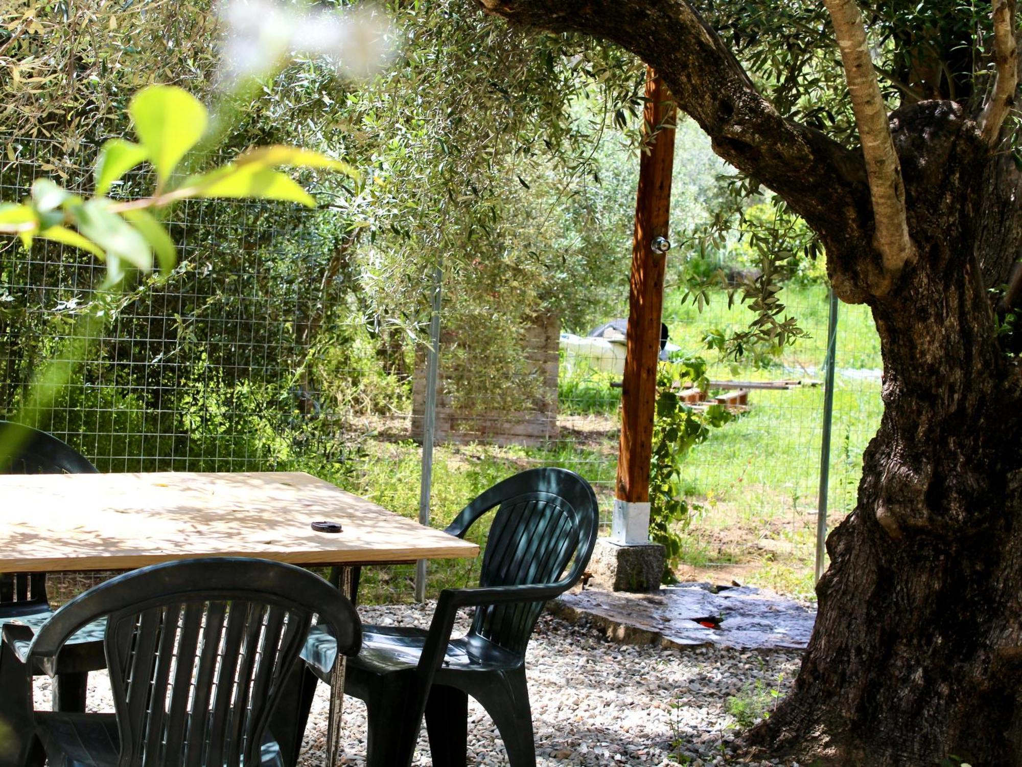 Villa Pelau - Holiday Home Jerzu 外观 照片